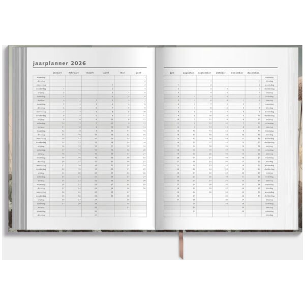 Agenda De Hobbit 25-26 A4 Veldbloemen - Afbeelding 4