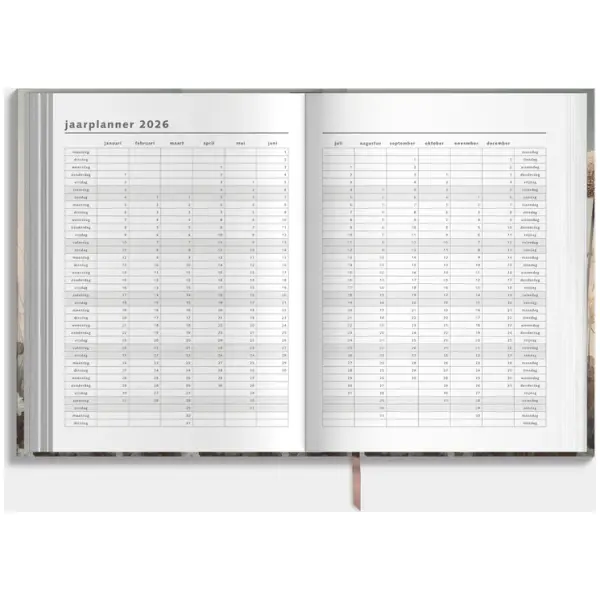 Agenda De Hobbit 25-26 A4 Veldbloemen - Afbeelding 4