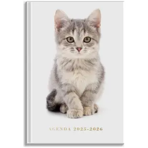 De Hobbit Agenda 2025-2026 ±A5 Katten