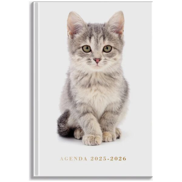 De Hobbit Agenda 2025-2026 ±A5 Katten
