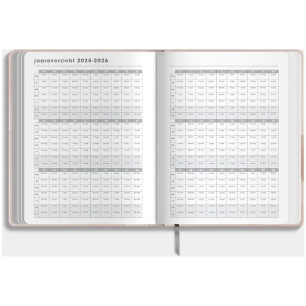 Docentenagenda De Hobbit 25-26 ±A4 Abstract Oudroze - Afbeelding 10