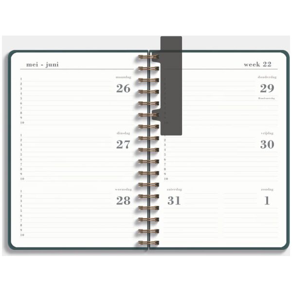 Luxe Ringband Schoolagenda De Hobbit 25-26 A5 Suedelook PetrolBlauw - Afbeelding 3