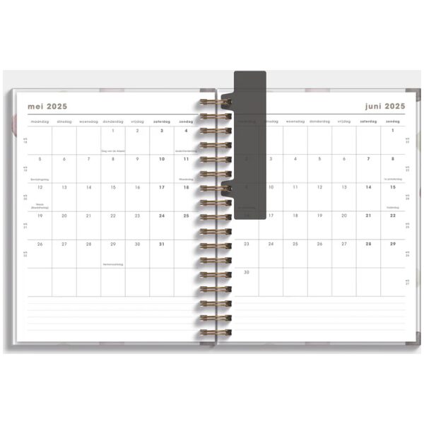 Luxe Weekplanner Ringband De Hobbit 25-26 A5+ Waterverf Stippen - Afbeelding 4