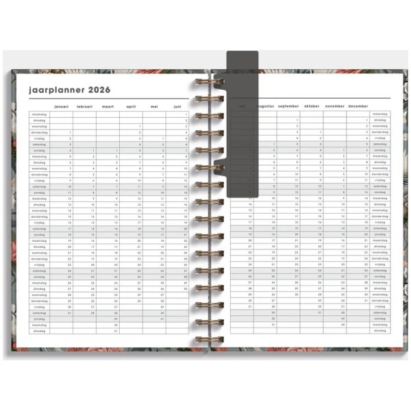 Ringband Agenda De Hobbit 25-26 A5 Kraanvogels - Afbeelding 4