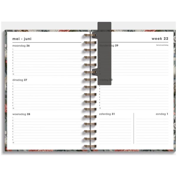 Ringband Agenda De Hobbit 25-26 A5 Kraanvogels - Afbeelding 3