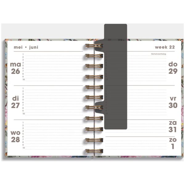 Ringband Agenda De Hobbit 25-26 A6 Romantisch - Afbeelding 3