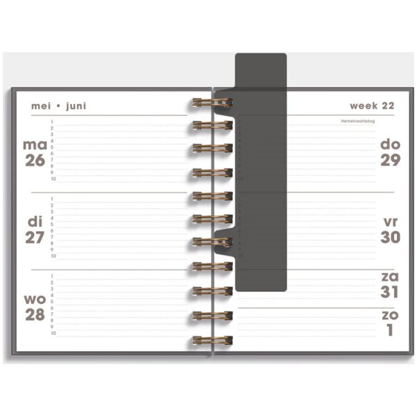 Ringband Agenda De Hobbit 25-26 A6 Verfstructuur - Afbeelding 3