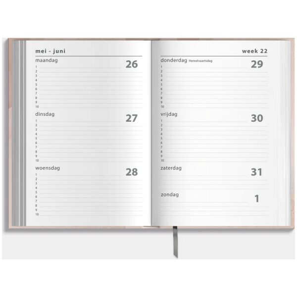 Schoolagenda De Hobbit 25-26 ±A5 Abstract Oudroze - Afbeelding 3