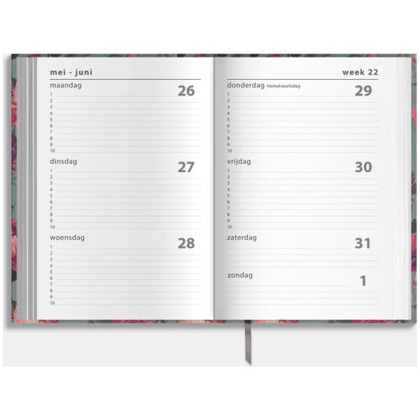 Schoolagenda De Hobbit 25-26 ±A5 Klassiek - Afbeelding 3