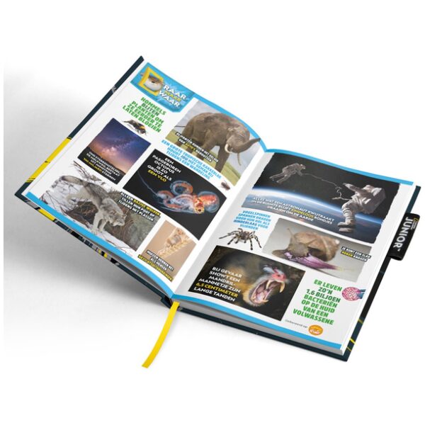 National Geographic Junior Schoolagenda 2025-2026 - Afbeelding 5
